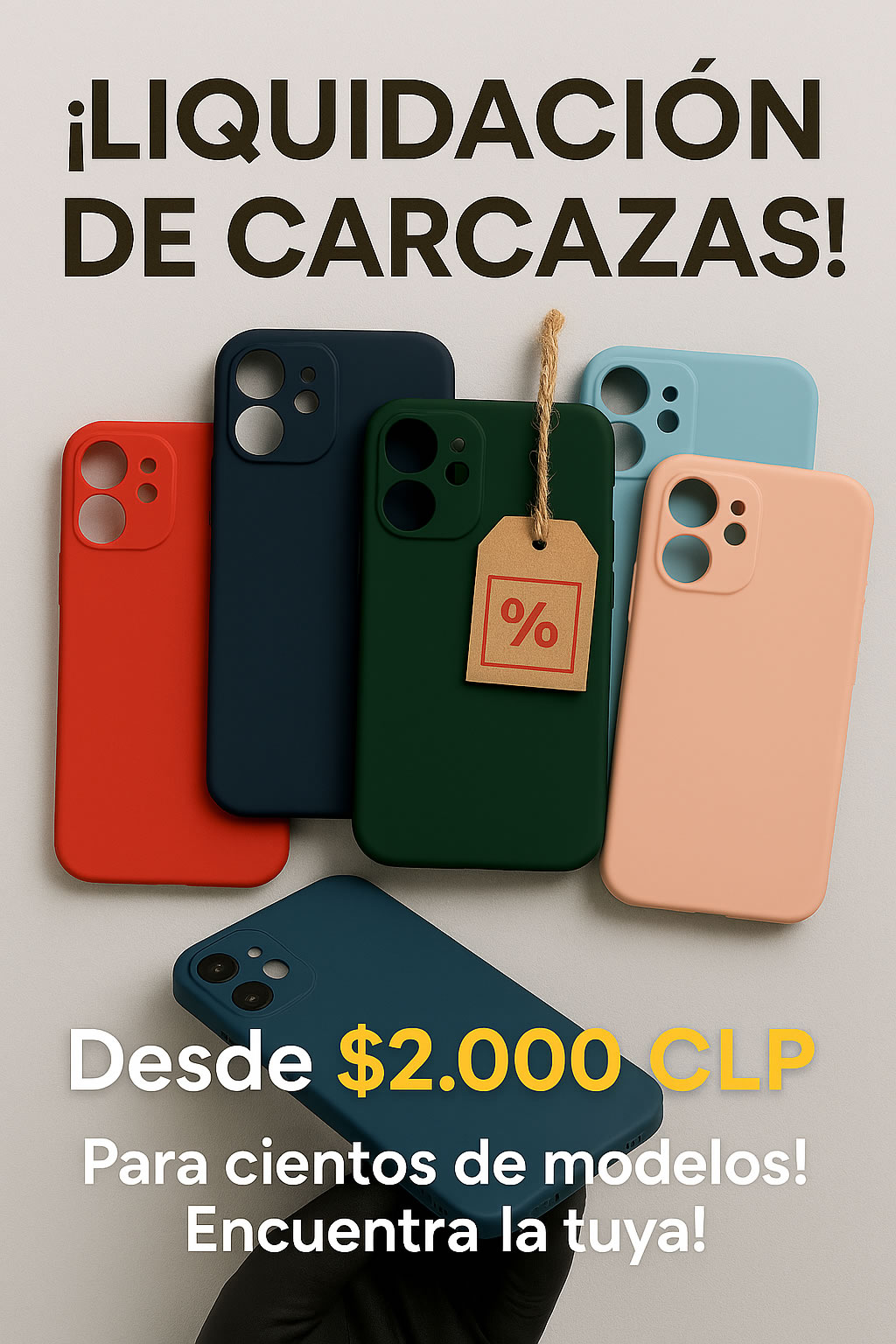 Liquidación de Carcazas